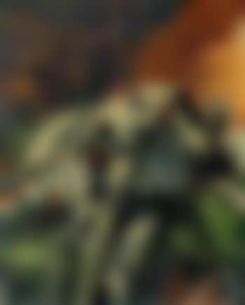 Agave (preview)