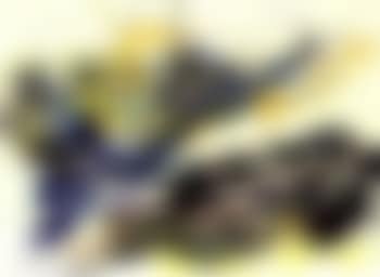 Untitled (preview)