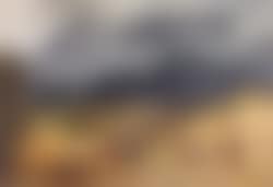 Storm in autumn (preview)