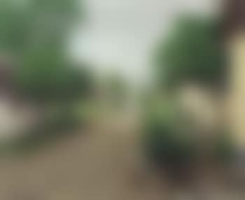 Village street scene with figures and cattle (preview)