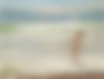 Nude woman in the breakers (preview)