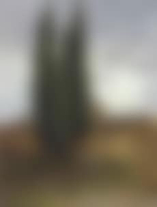 Italian landscape with monastery and trees (preview)
