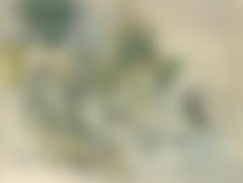 The third Kaukasiska artillery in position by lake Sventen (preview)