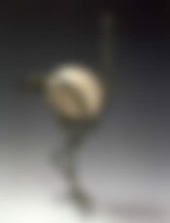 Autruche (preview)