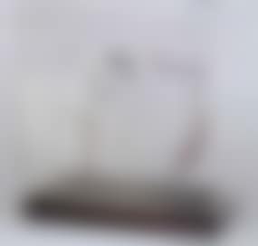 Le pendu (preview)