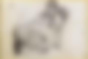 Femme cousant. La toilette (preview)
