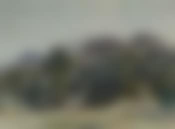 Near Loch Earn (preview)