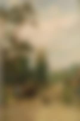Herding sheep on a summer lane (preview)