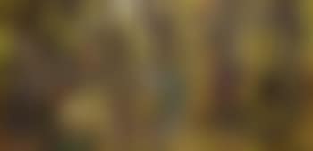 A group of Congolese woman (preview)