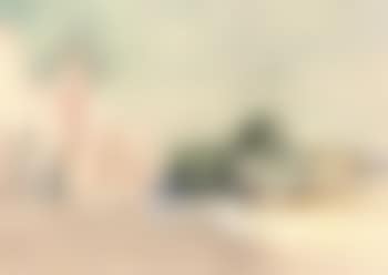 Palm trees on the Egyptian coast (preview)