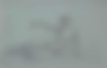 Female nude (preview)