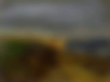 Coast near Syracuse (preview)