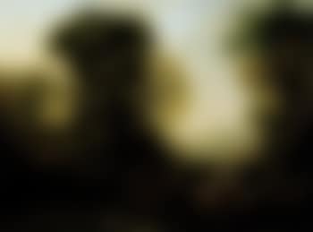 Holy Family resting in wooded landscape (preview)