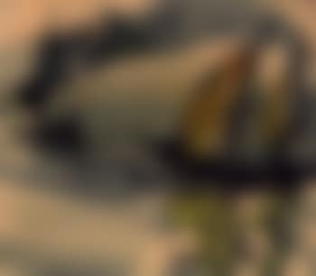 Chinese junk in stormy waters (preview)
