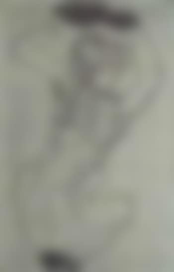 Graphic works (preview)