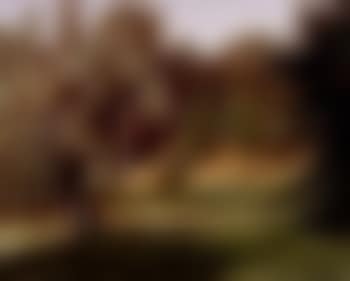 Couple by pond (preview)