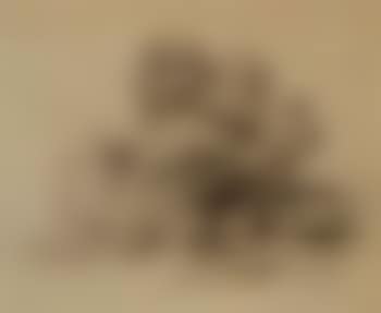 Oak tree with figures (preview)