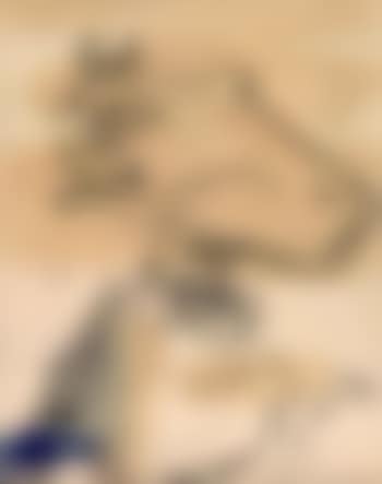 Two cows (preview)