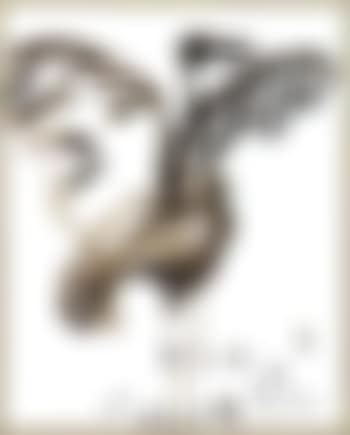 Waterbird (preview)