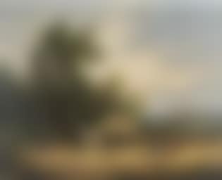 Harvest time (preview)