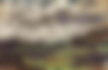 L'estuaire de la Seine (preview)