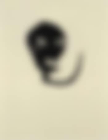 Untitled (preview)
