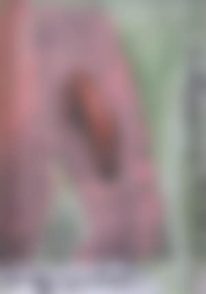 Happy birthday doodle (preview)