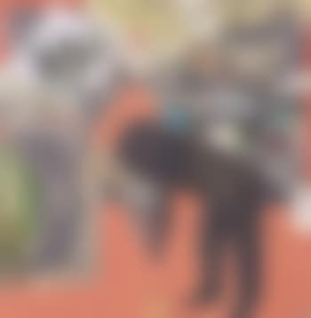 Black king (preview)