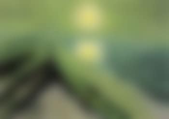 Coastal landscape (preview)