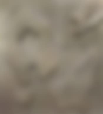 Abstract (preview)