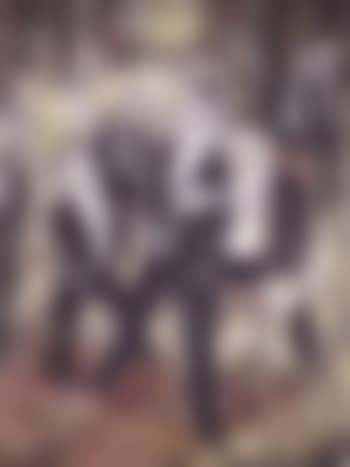 Company of gentlemen (preview)