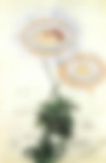 Les marguerites (preview)