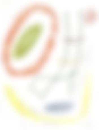 Composition (preview)