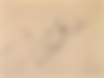Buste de femme nue (preview)