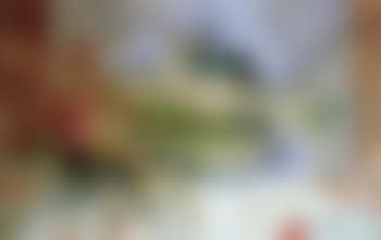 Notre Dame et la Seine de la fenetre de la Tour d'Argent (preview)