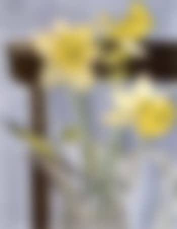 Daffodils and celery (preview)
