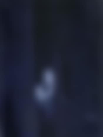 Two figures at a window (preview)