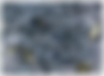 Tableau etang (preview)