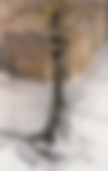 Wrapped monument (preview)