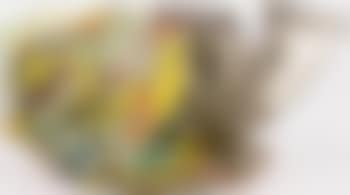 Adobi Obi (preview)