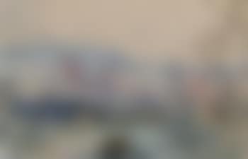 View of Florence (preview)