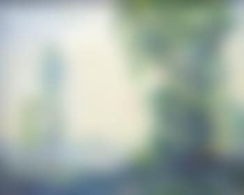 View through the trees (preview)