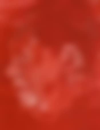 Idole (preview)