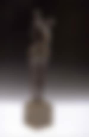 Femme qui marche (preview)