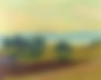 Landscape with a lake and trees (preview)