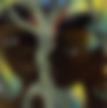 Two faces (preview)