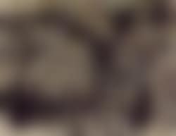 Untitled composition (preview)