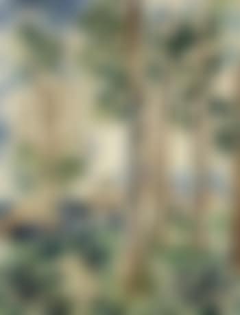 Houses behind trees (preview)