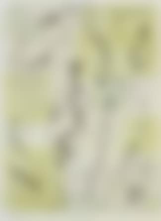 Insects (preview)