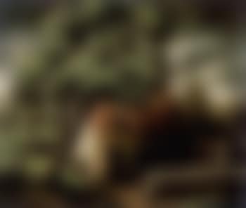 La ferme (preview)